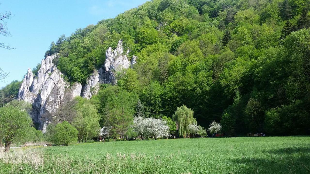 Osada Wloscianska Ojcow 外观 照片