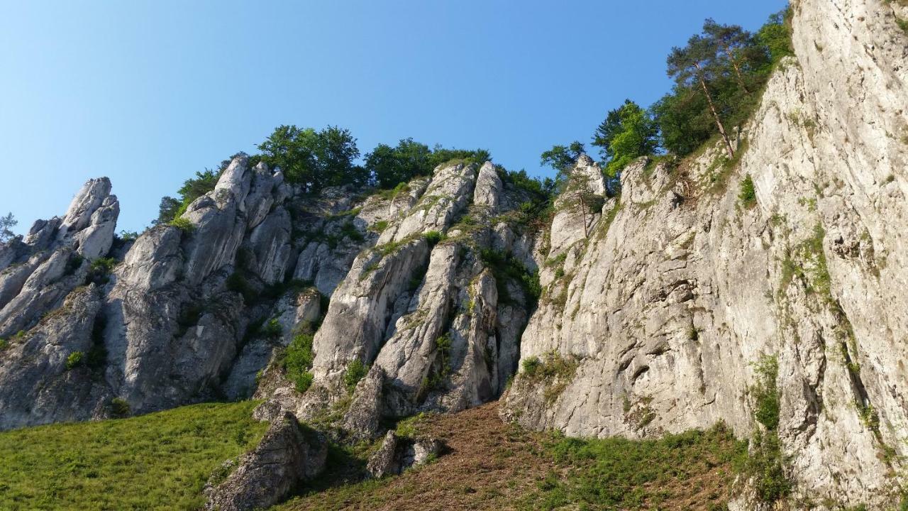 Osada Wloscianska Ojcow 外观 照片